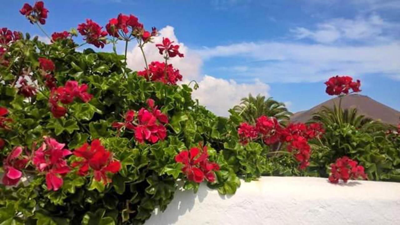 Cozy House In El Golfo + Terrace Villa Bagian luar foto